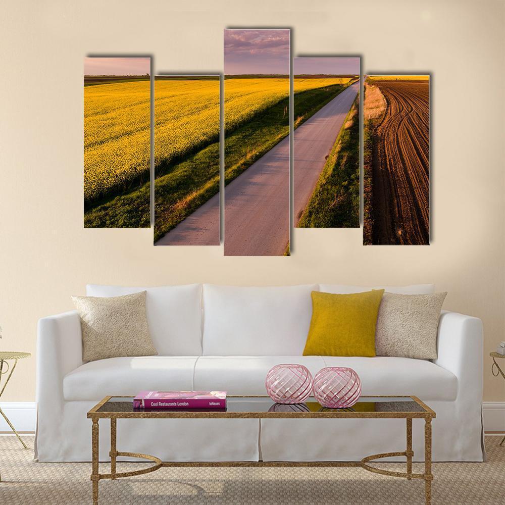 Shot Of Canola Rape Seed From Drone Canvas Wall Art-5 Pop-Gallery Wrap-47" x 32"-Tiaracle
