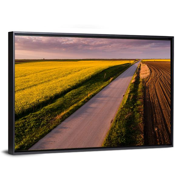 Shot Of Canola Rape Seed From Drone Canvas Wall Art-3 Horizontal-Gallery Wrap-25" x 16"-Tiaracle