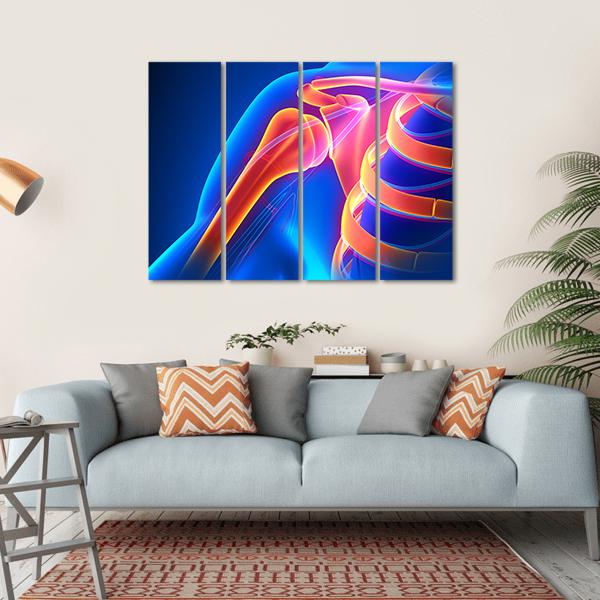 Shoulder Joint Anatomy Canvas Wall Art-4 Horizontal-Gallery Wrap-34&quot; x 24&quot;-Tiaracle