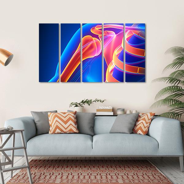 Shoulder Joint Anatomy Canvas Wall Art-5 Horizontal-Gallery Wrap-22&quot; x 12&quot;-Tiaracle