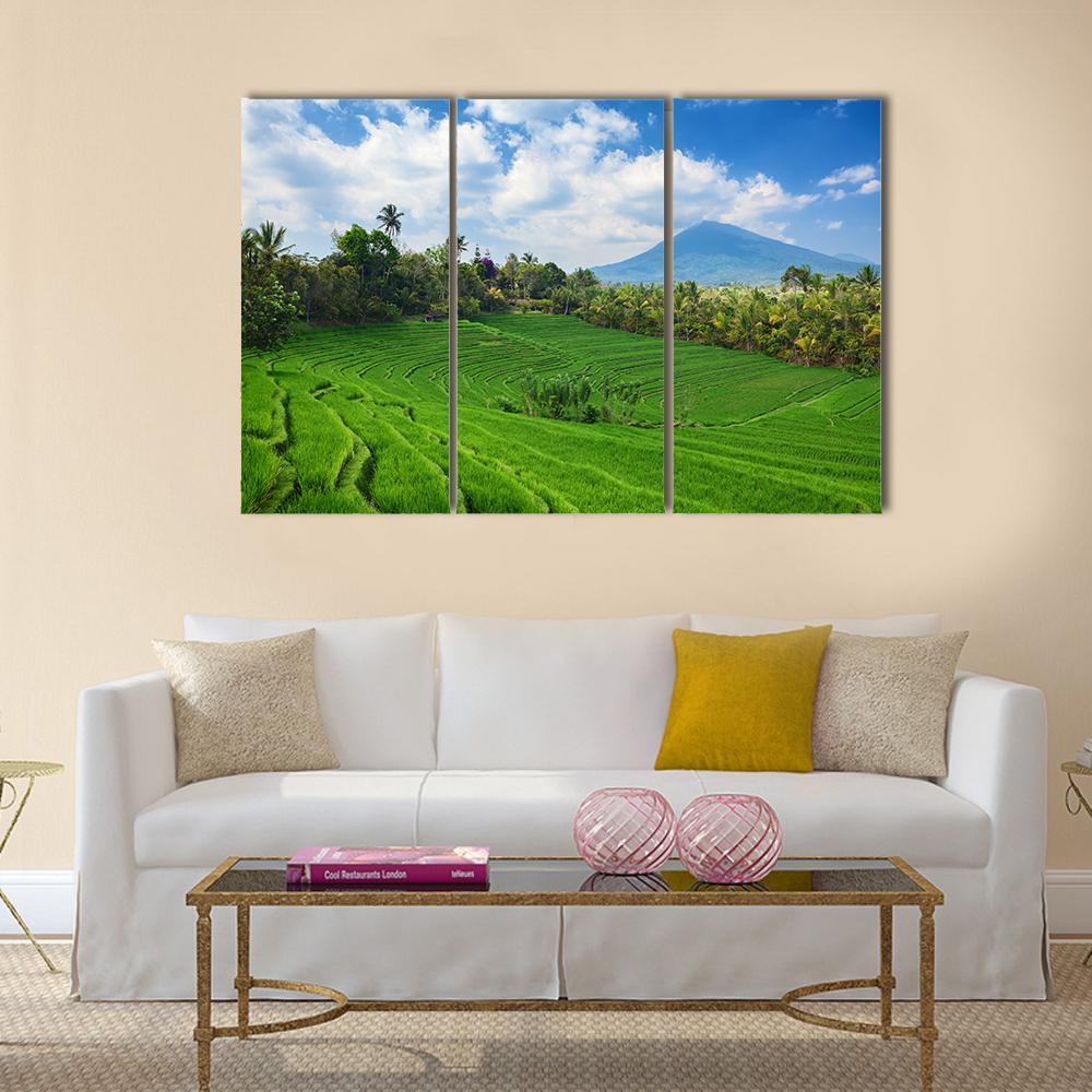 Sight Of Balinese Bright Green Rice Canvas Wall Art-3 Horizontal-Gallery Wrap-37" x 24"-Tiaracle