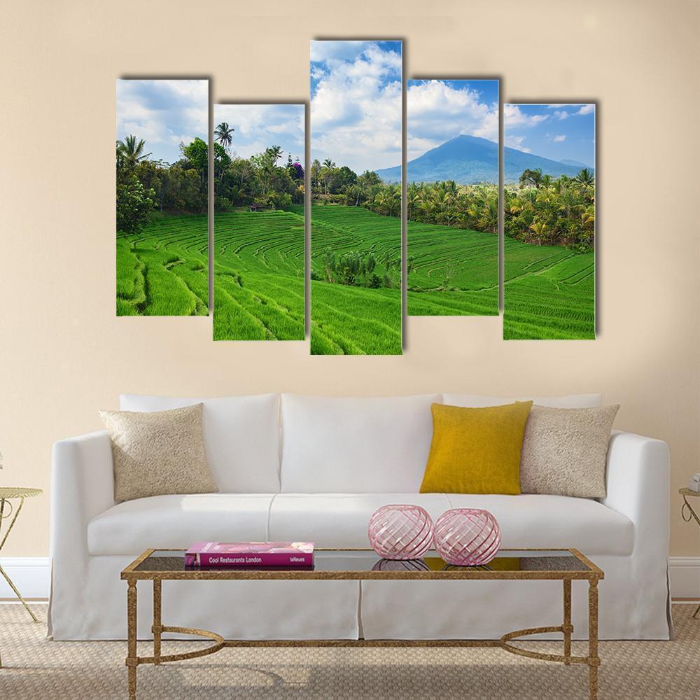 Sight Of Balinese Bright Green Rice Canvas Wall Art-5 Pop-Gallery Wrap-47" x 32"-Tiaracle