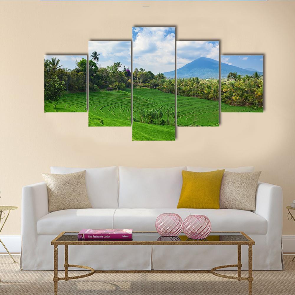 Sight Of Balinese Bright Green Rice Canvas Wall Art-5 Star-Gallery Wrap-62" x 32"-Tiaracle