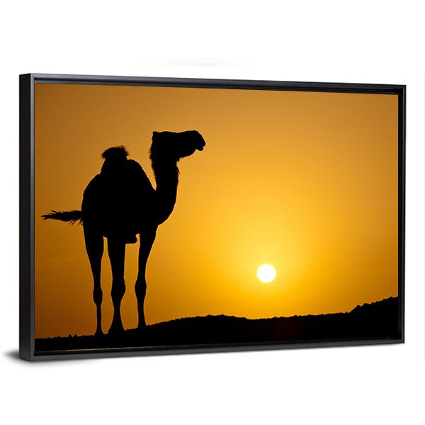 Silhouette Of A Wild Camel At Sunset Canvas Wall Art-3 Horizontal-Gallery Wrap-25" x 16"-Tiaracle