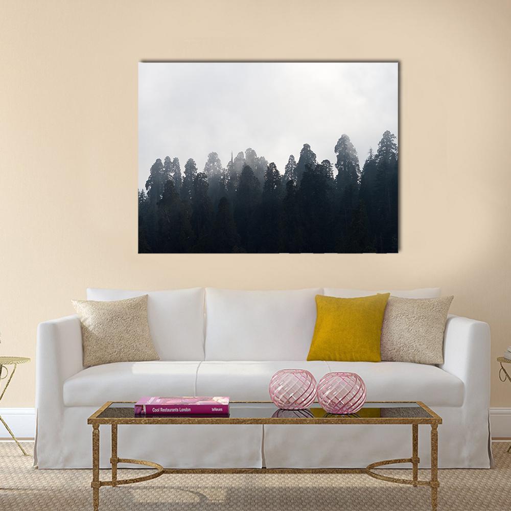Silhouetted Redwood Forest in Mist Canvas Wall Art in black, white and gray, single panel hung on a wall