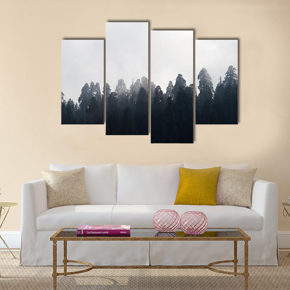 Silhouette of Redwood Forest In Mist Canvas Wall Art-4 Pop-Gallery Wrap-34" x 20"-Tiaracle
