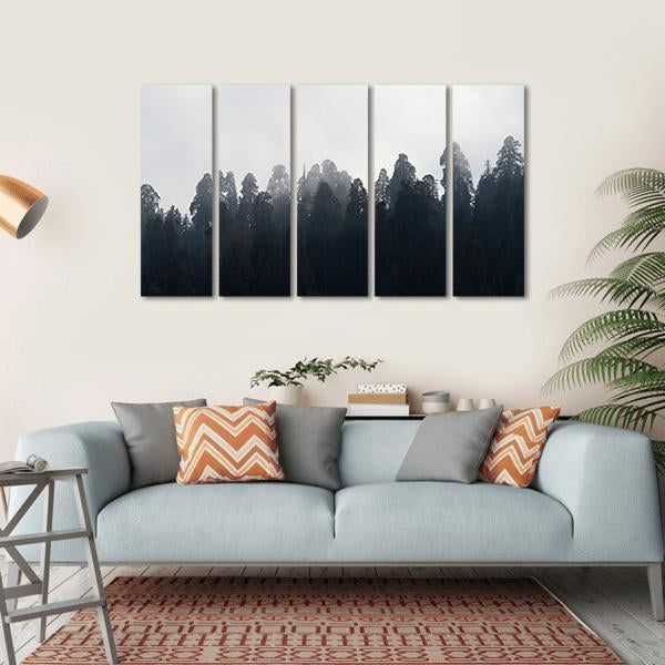 Silhouette of Redwood Forest In Mist Canvas Wall Art-5 Horizontal-Gallery Wrap-22" x 12"-Tiaracle