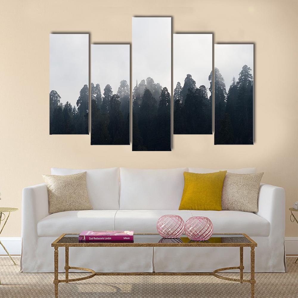 Silhouette of Redwood Forest In Mist Canvas Wall Art-5 Pop-Gallery Wrap-32" x 21"-Tiaracle