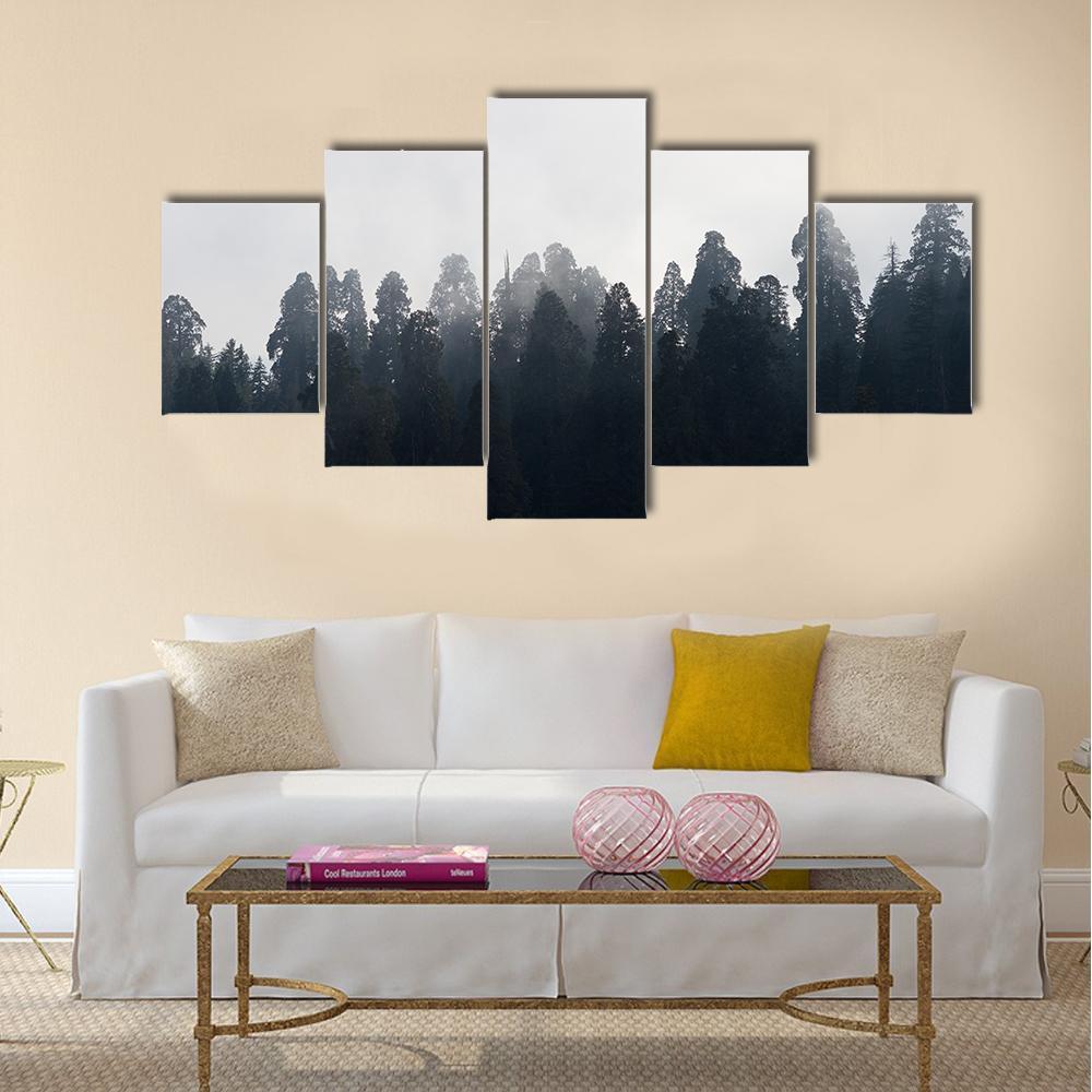 Silhouette of Redwood Forest In Mist Canvas Wall Art-5 Star-Gallery Wrap-42" x 21"-Tiaracle