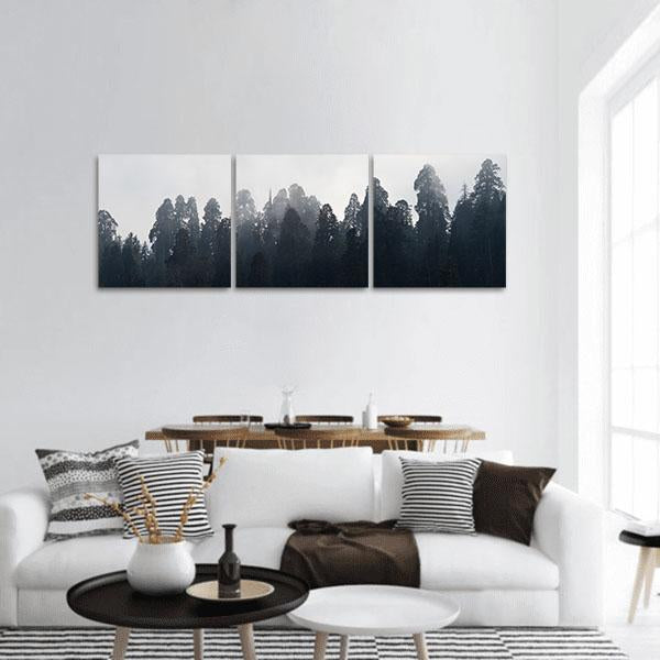 Silhouette of Redwood Forest In Mist Panoramic Canvas Wall Art-3 Piece-25" x 08"-Tiaracle