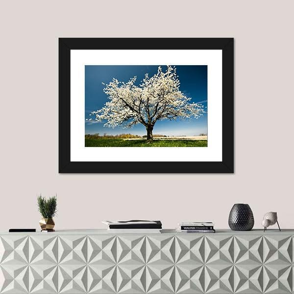 Single Blossoming Tree In Spring Canvas Wall Art-1 Piece-Framed Print-20" x 16"-Tiaracle