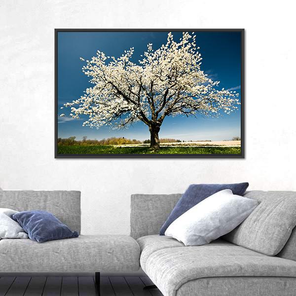 Single Blossoming Tree In Spring Canvas Wall Art-3 Horizontal-Gallery Wrap-25" x 16"-Tiaracle