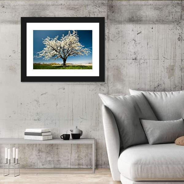 Single Blossoming Tree In Spring Canvas Wall Art-3 Horizontal-Gallery Wrap-25" x 16"-Tiaracle