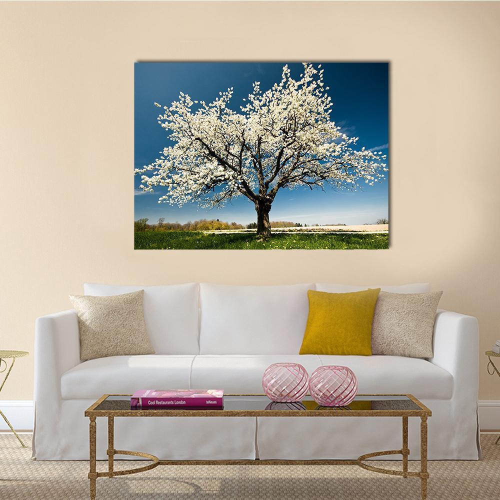Single Blossoming Tree in Spring Field Canvas Wall Art in white, green and blue, single panel hung on a wall