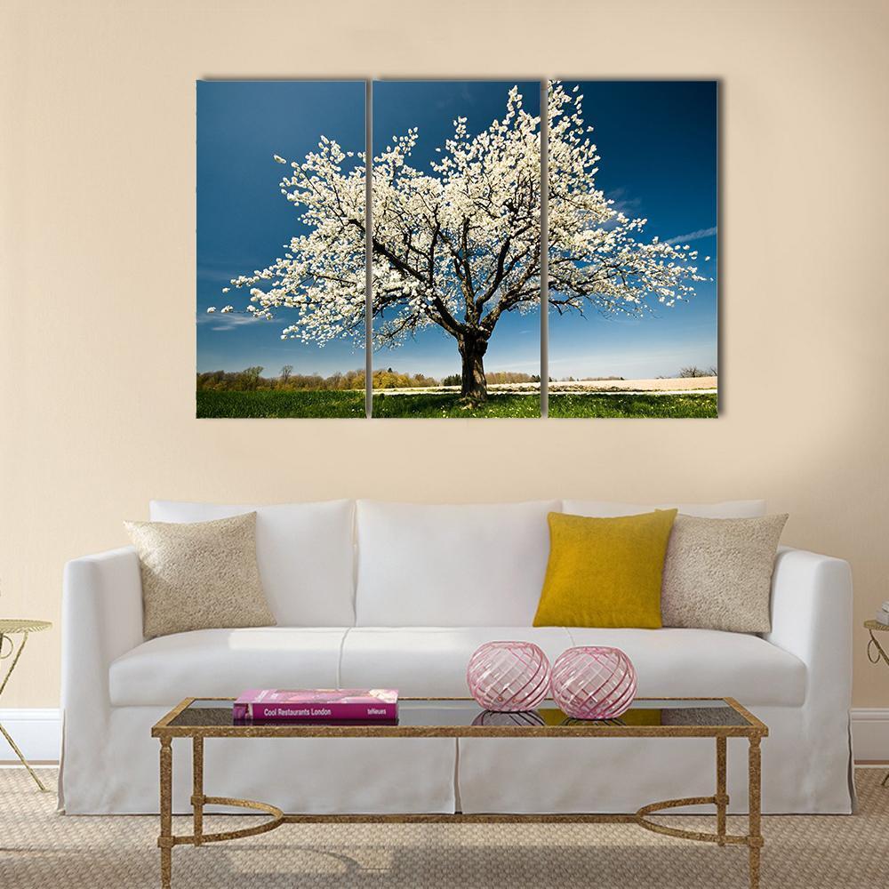 Single Blossoming Tree In Spring Canvas Wall Art-3 Horizontal-Gallery Wrap-37" x 24"-Tiaracle
