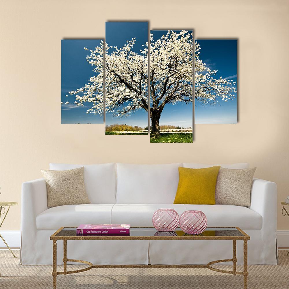 Single Blossoming Tree In Spring Canvas Wall Art-4 Pop-Gallery Wrap-50" x 32"-Tiaracle