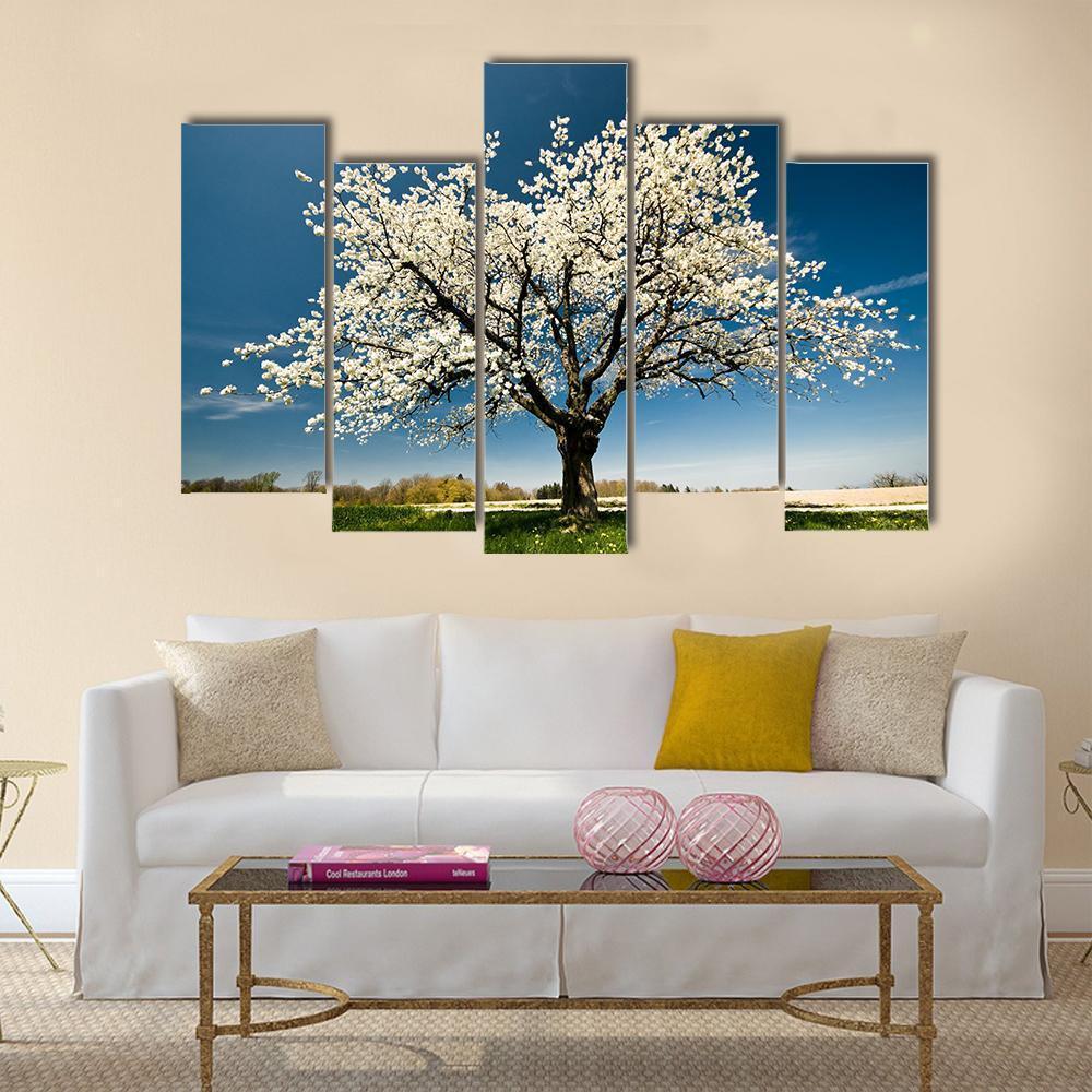 Single Blossoming Tree In Spring Canvas Wall Art-5 Pop-Gallery Wrap-47" x 32"-Tiaracle
