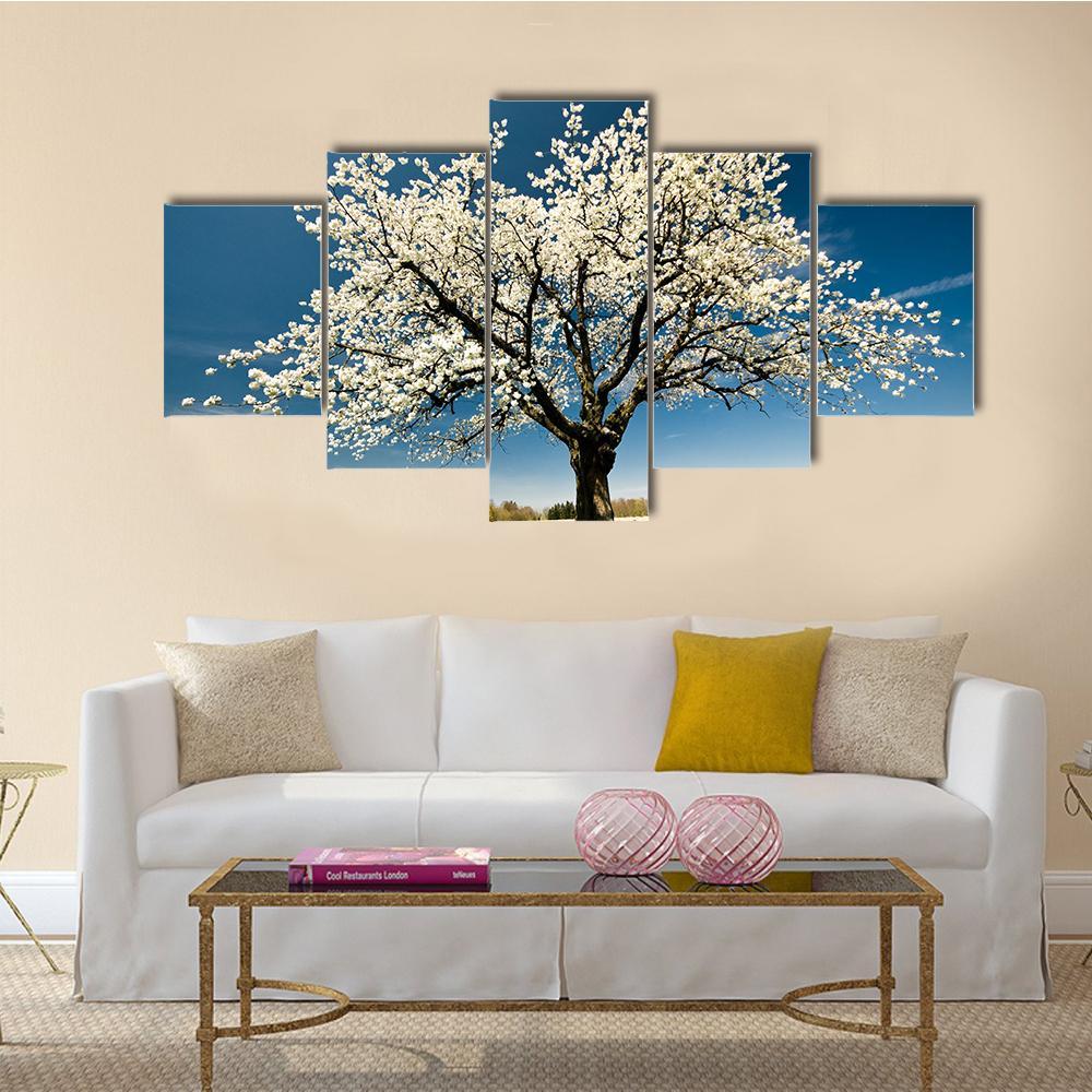 Single Blossoming Tree In Spring Canvas Wall Art-5 Star-Gallery Wrap-62" x 32"-Tiaracle