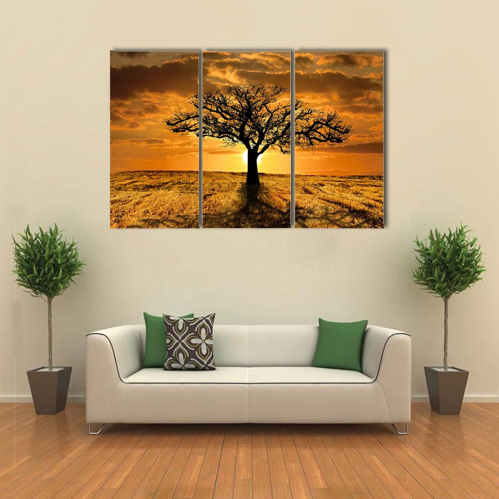 Single Tree Dying During Sunset Canvas Wall Art-3 Horizontal-Gallery Wrap-25" x 16"-Tiaracle