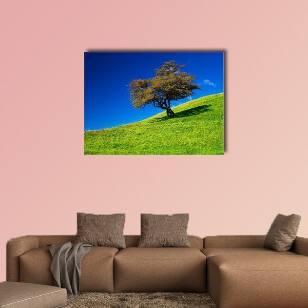 Single Tree On A Green Meadow Canvas Wall Art-1 Piece-Gallery Wrap-48" x 32"-Tiaracle