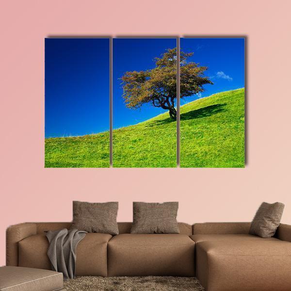 Single Tree On A Green Meadow Canvas Wall Art-3 Horizontal-Gallery Wrap-37" x 24"-Tiaracle
