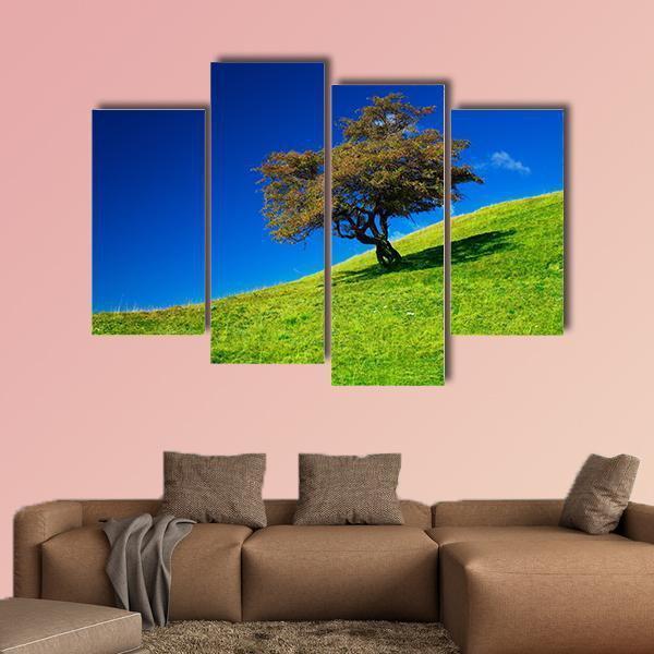 Single Tree On A Green Meadow Canvas Wall Art-4 Pop-Gallery Wrap-50" x 32"-Tiaracle