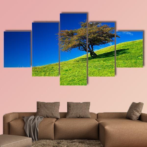 Single Tree On A Green Meadow Canvas Wall Art-5 Star-Gallery Wrap-62" x 32"-Tiaracle