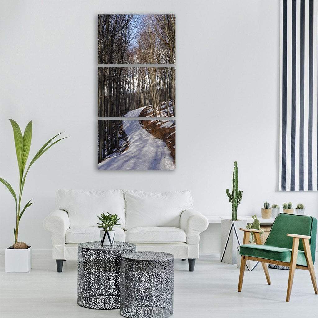 Slovakia Winter Forest Vertical Canvas Wall Art-3 Vertical-Gallery Wrap-12" x 25"-Tiaracle