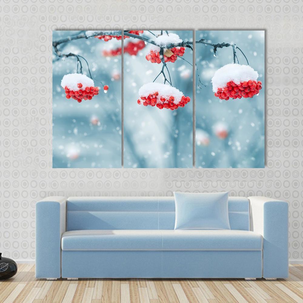 Snow Covered Mountain Ash Canvas Wall Art-5 Star-Gallery Wrap-62" x 32"-Tiaracle