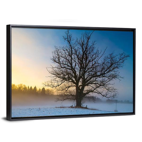 Snow Covered Tree Canvas Wall Art-3 Horizontal-Gallery Wrap-25" x 16"-Tiaracle