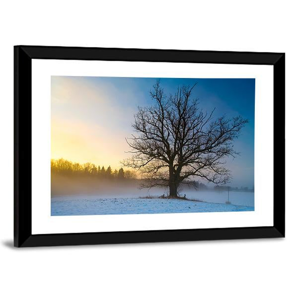 Snow Covered Tree Canvas Wall Art-3 Horizontal-Gallery Wrap-25" x 16"-Tiaracle