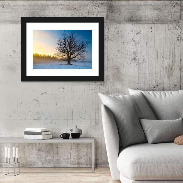 Snow Covered Tree Canvas Wall Art-3 Horizontal-Gallery Wrap-25" x 16"-Tiaracle