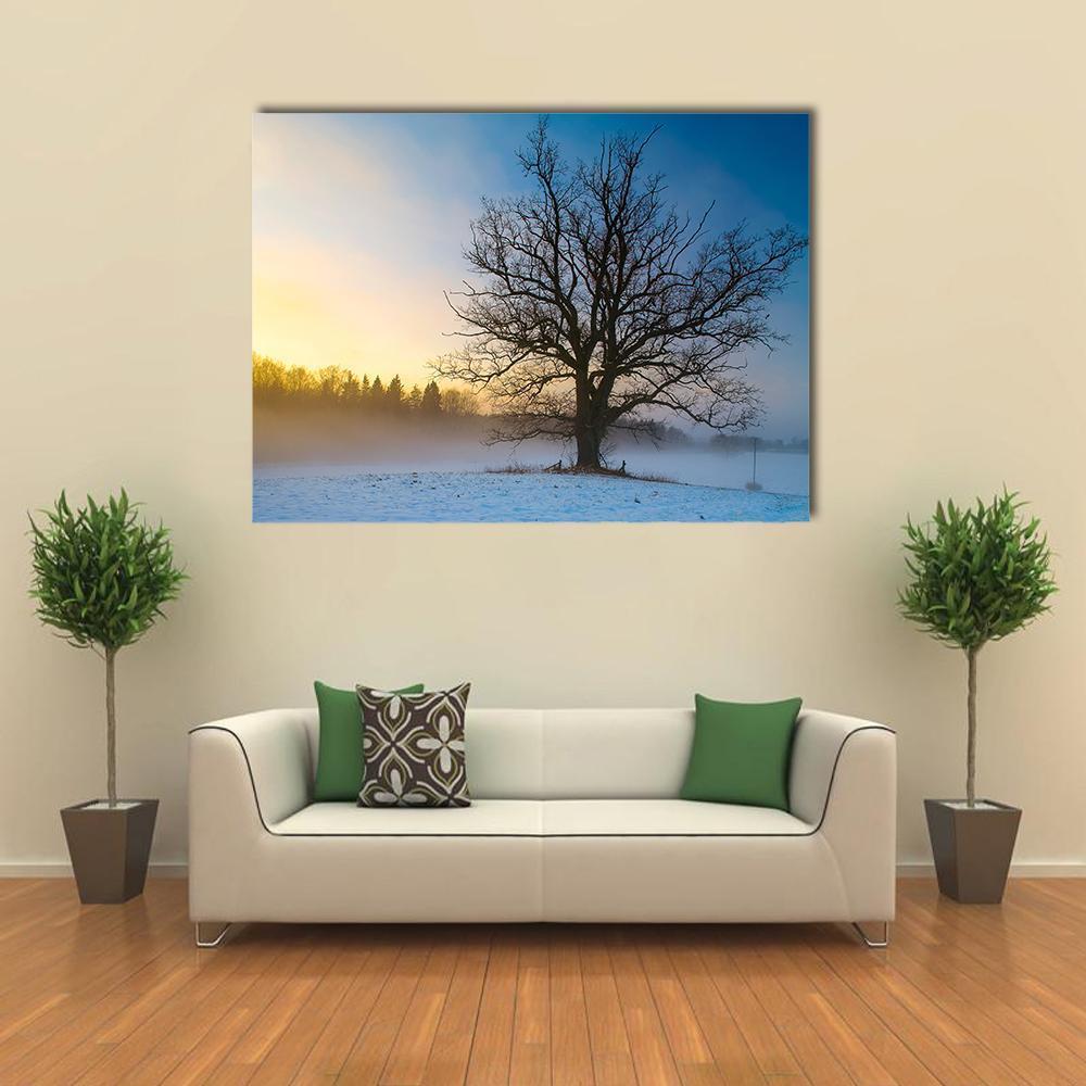 Snow Covered Tree Canvas Wall Art-1 Piece-Gallery Wrap-48" x 32"-Tiaracle