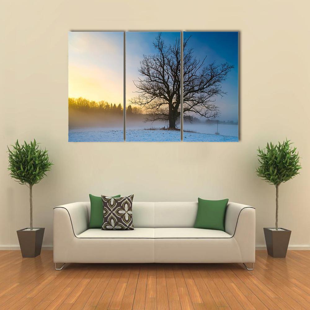 Snow Covered Tree Canvas Wall Art-3 Horizontal-Gallery Wrap-37" x 24"-Tiaracle