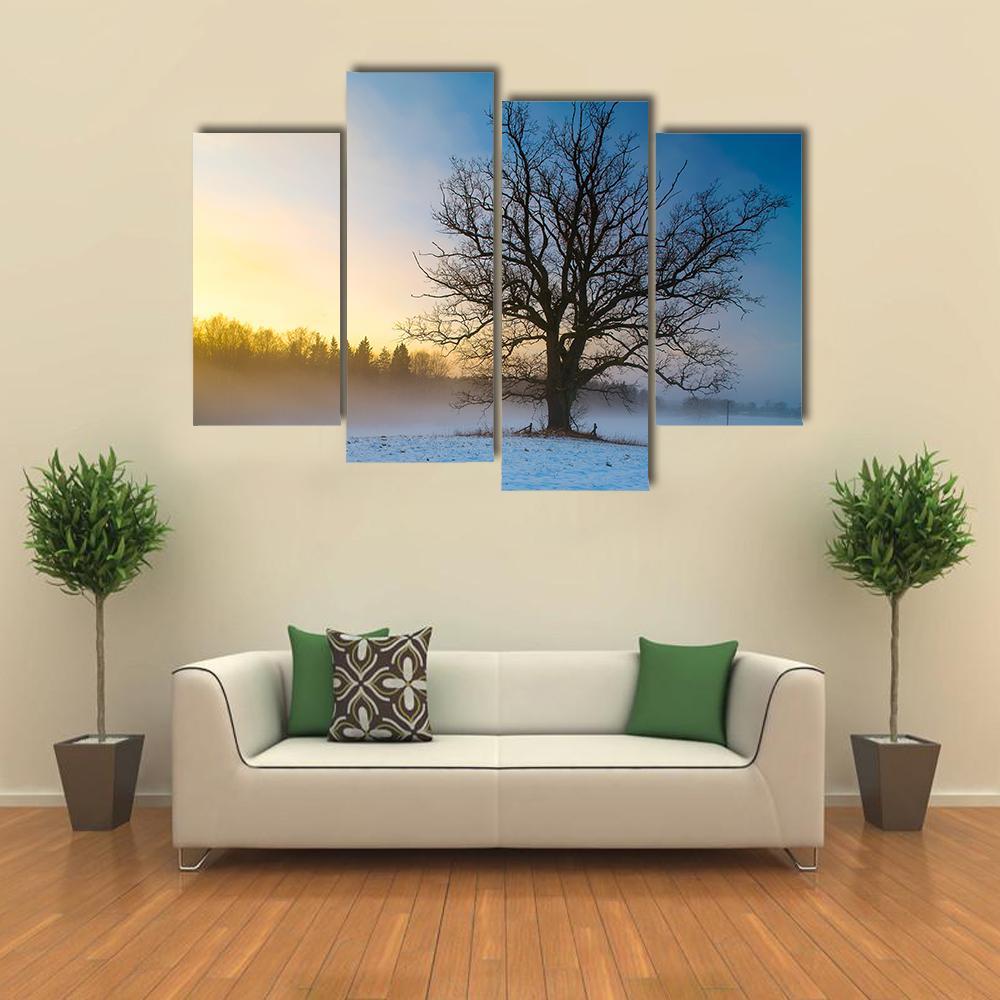 Snow Covered Tree Canvas Wall Art-4 Pop-Gallery Wrap-50" x 32"-Tiaracle