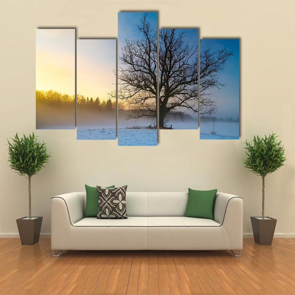 Snow Covered Tree Canvas Wall Art-5 Pop-Gallery Wrap-47" x 32"-Tiaracle