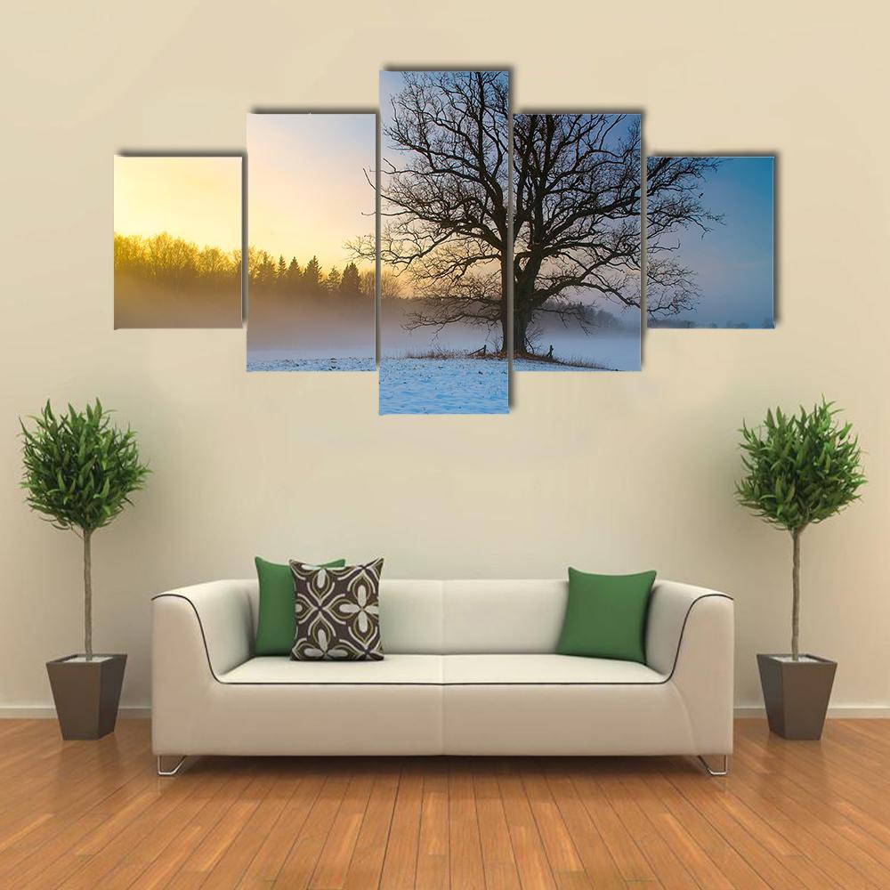 Snow Covered Tree Canvas Wall Art-5 Star-Gallery Wrap-62" x 32"-Tiaracle
