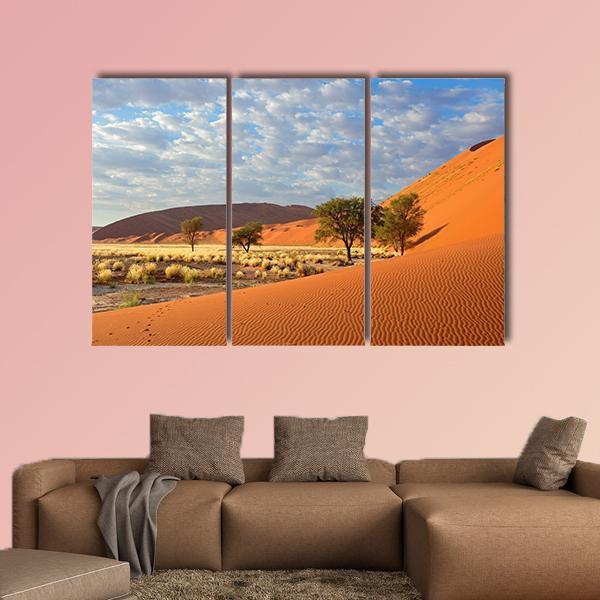 Sossusvlei Landscape In The Namibia Desert Canvas Wall Art-3 Horizontal-Gallery Wrap-37" x 24"-Tiaracle