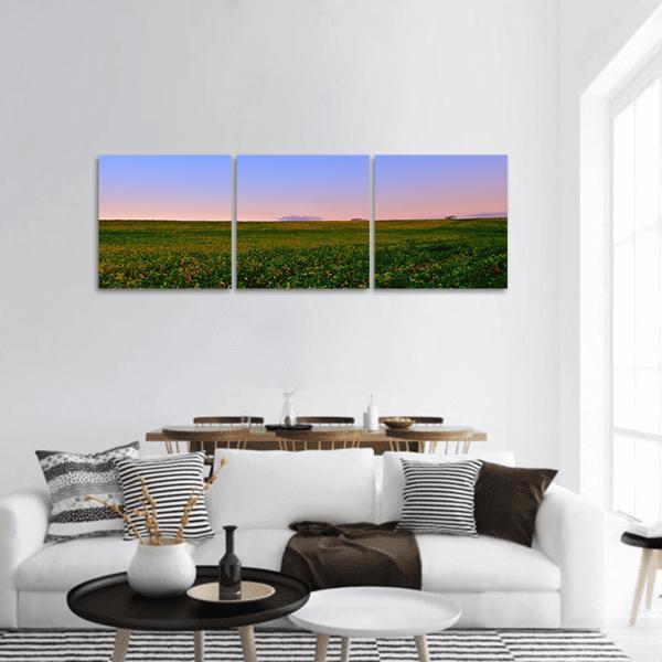 Spanish Fields Under Evening Landscape Panoramic Canvas Wall Art-3 Piece-25" x 08"-Tiaracle