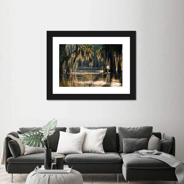 Spanish Moss In The Louisiana Bayou Canvas Wall Art-1 Piece-Framed Print-20" x 16"-Tiaracle