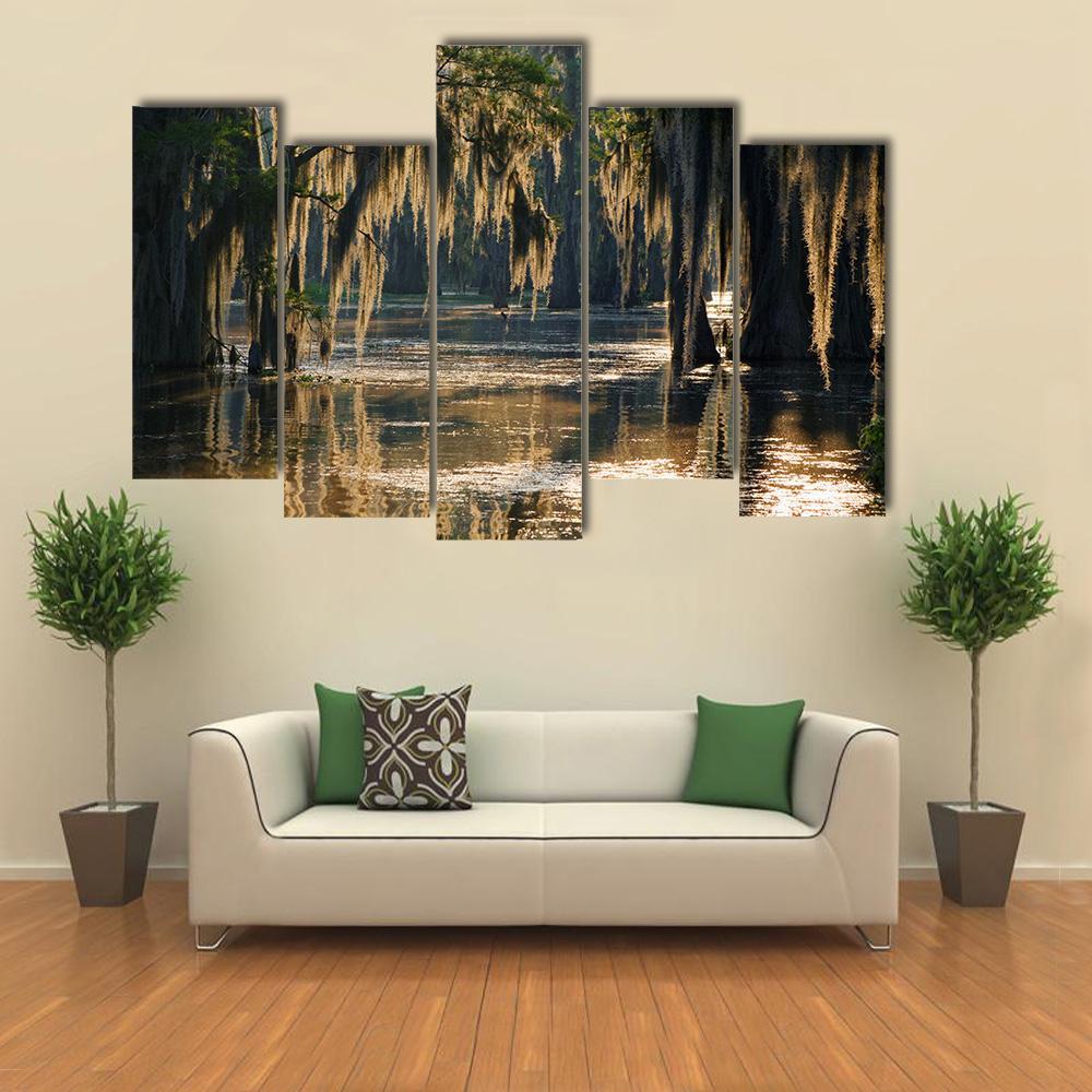Spanish Moss In The Louisiana Bayou Canvas Wall Art-5 Pop-Gallery Wrap-47" x 32"-Tiaracle