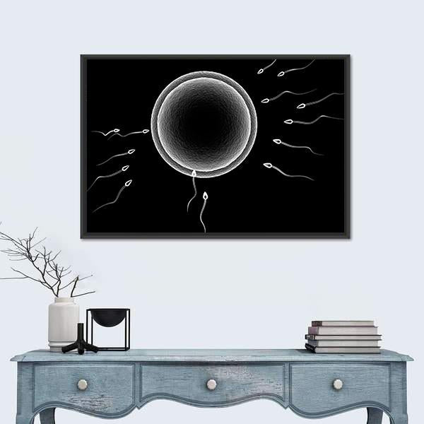 Sperm And Human Egg Canvas Wall Art-1 Piece-Floating Frame-24" x 16"-Tiaracle