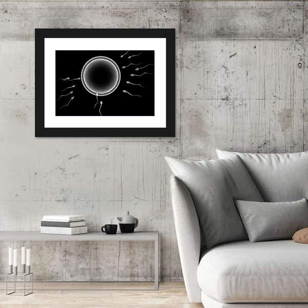 Sperm And Human Egg Canvas Wall Art-3 Horizontal-Gallery Wrap-25" x 16"-Tiaracle
