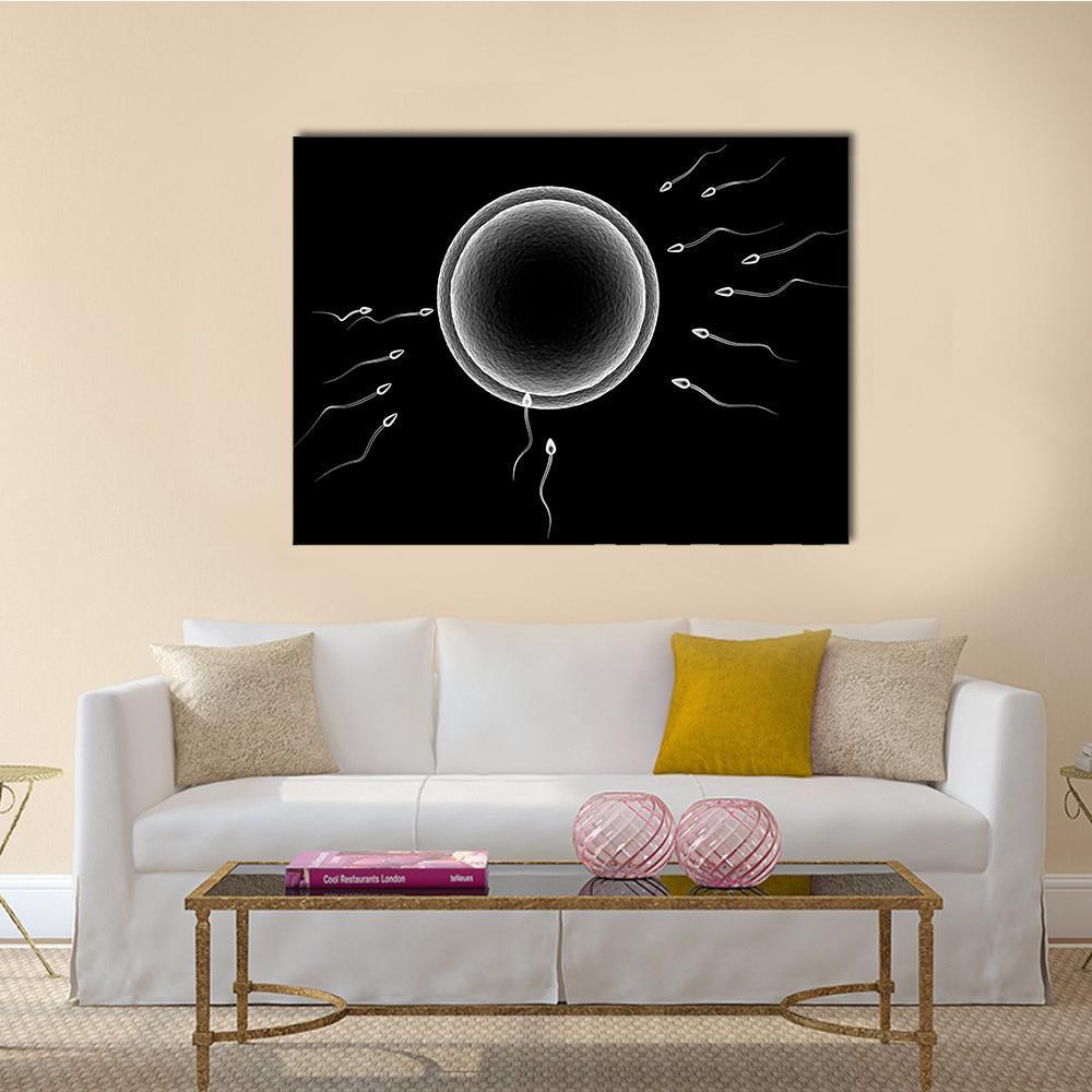 Sperm and Human Egg Fertilization Canvas Wall Art in black and white, single panel hung on a wall