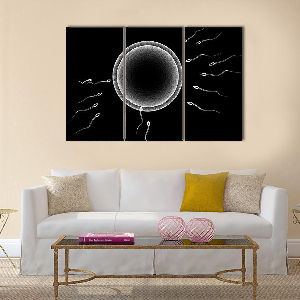 Sperm And Human Egg Canvas Wall Art-3 Horizontal-Gallery Wrap-37" x 24"-Tiaracle