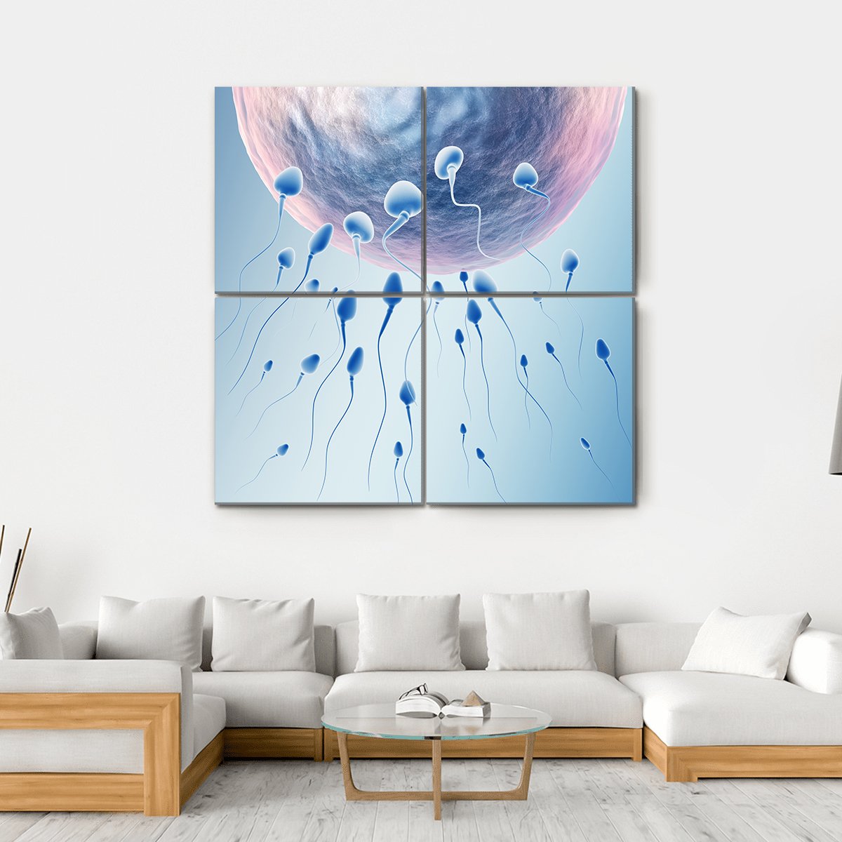 Sperm Hitting Egg Canvas Wall Art-4 Square-Gallery Wrap-17" x 17"-Tiaracle
