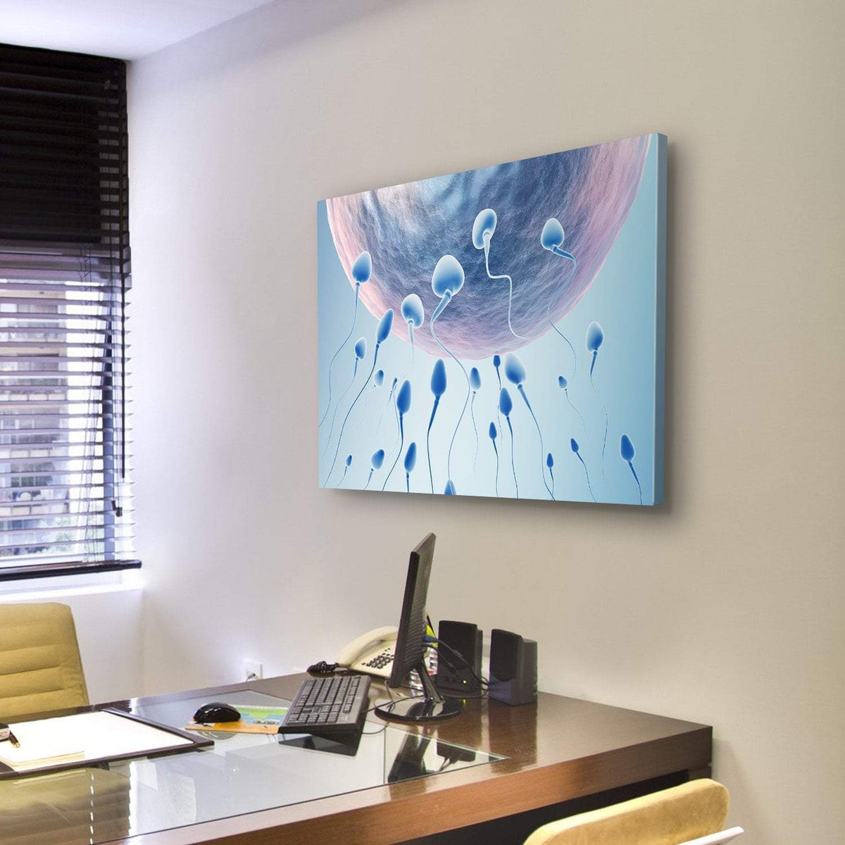 Sperm Hitting Egg Canvas Wall Art-3 Horizontal-Gallery Wrap-25" x 16"-Tiaracle