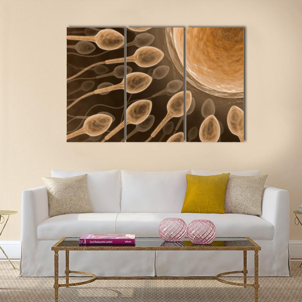 Sperm Close Up Canvas Wall Art-3 Horizontal-Gallery Wrap-37" x 24"-Tiaracle
