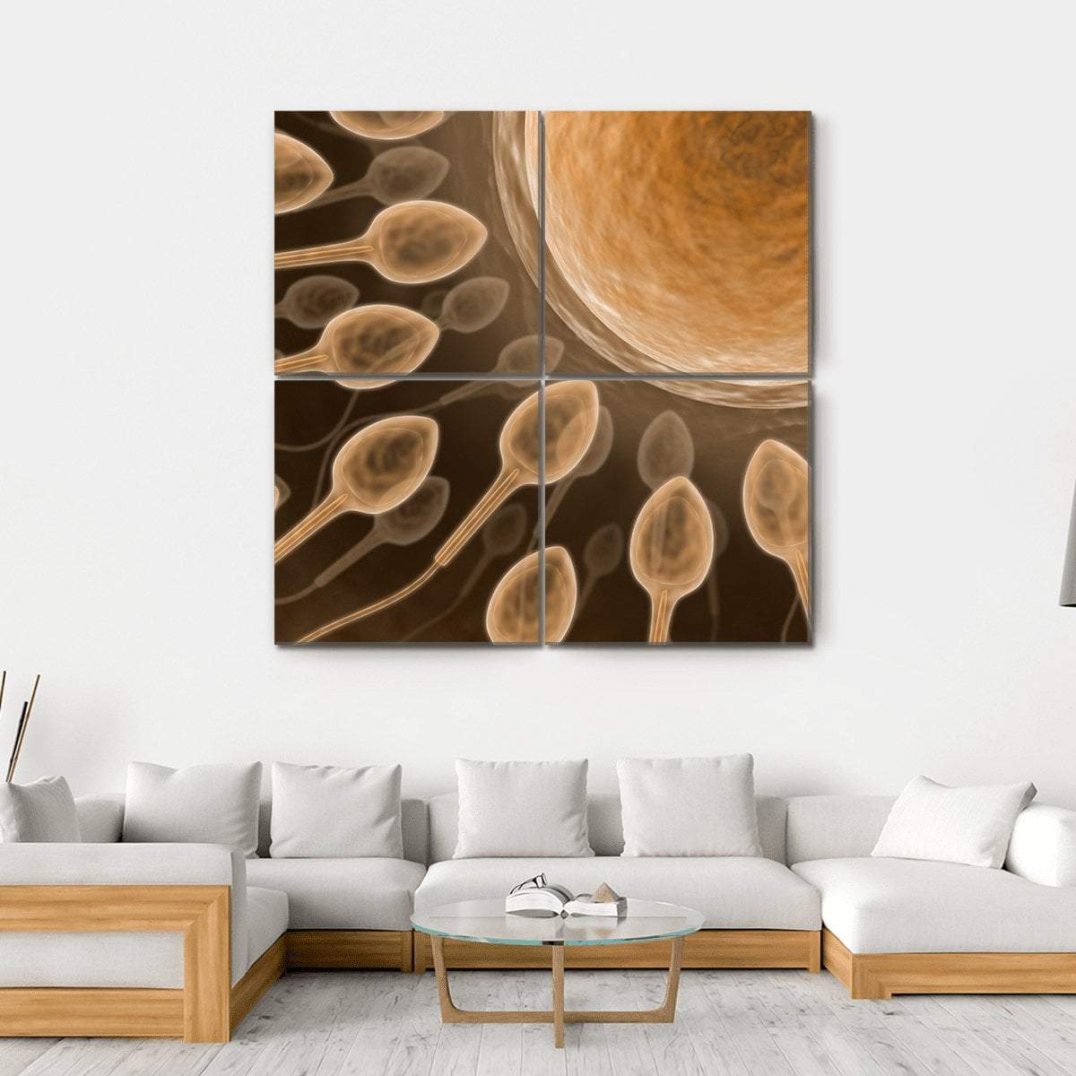 Sperm Close Up Canvas Wall Art-4 Square-Gallery Wrap-17" x 17"-Tiaracle
