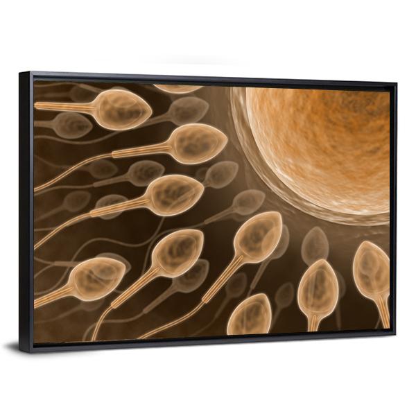 Sperm Close Up Canvas Wall Art-3 Horizontal-Gallery Wrap-25" x 16"-Tiaracle